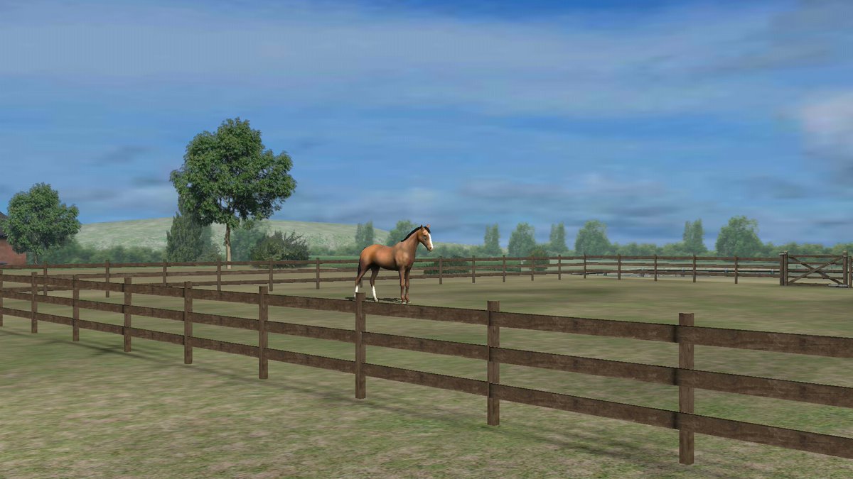 Zoutbinette's tweet photo. Viens voir ma photo ! Ajoute-moi, zoutbinette. #MyHorse https://t.co/bAMuG7A5XV