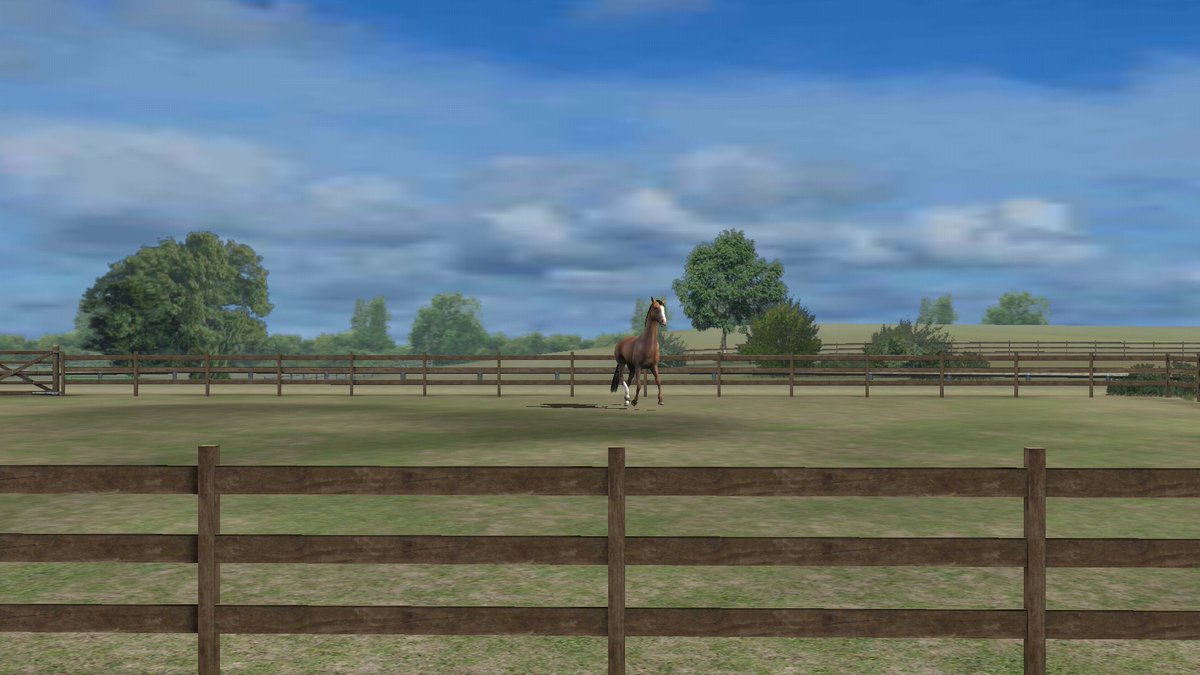 Zoutbinette's tweet photo. Viens voir ma photo ! Ajoute-moi, zoutbinette. #MyHorse https://t.co/ZM8vbLKBhO