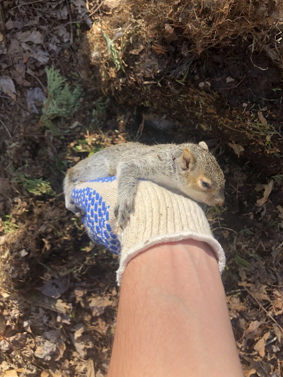 shake_an_jake's tweet photo. I’ve never been happier in my entire life 🐿 https://t.co/QhUTboG2mz
