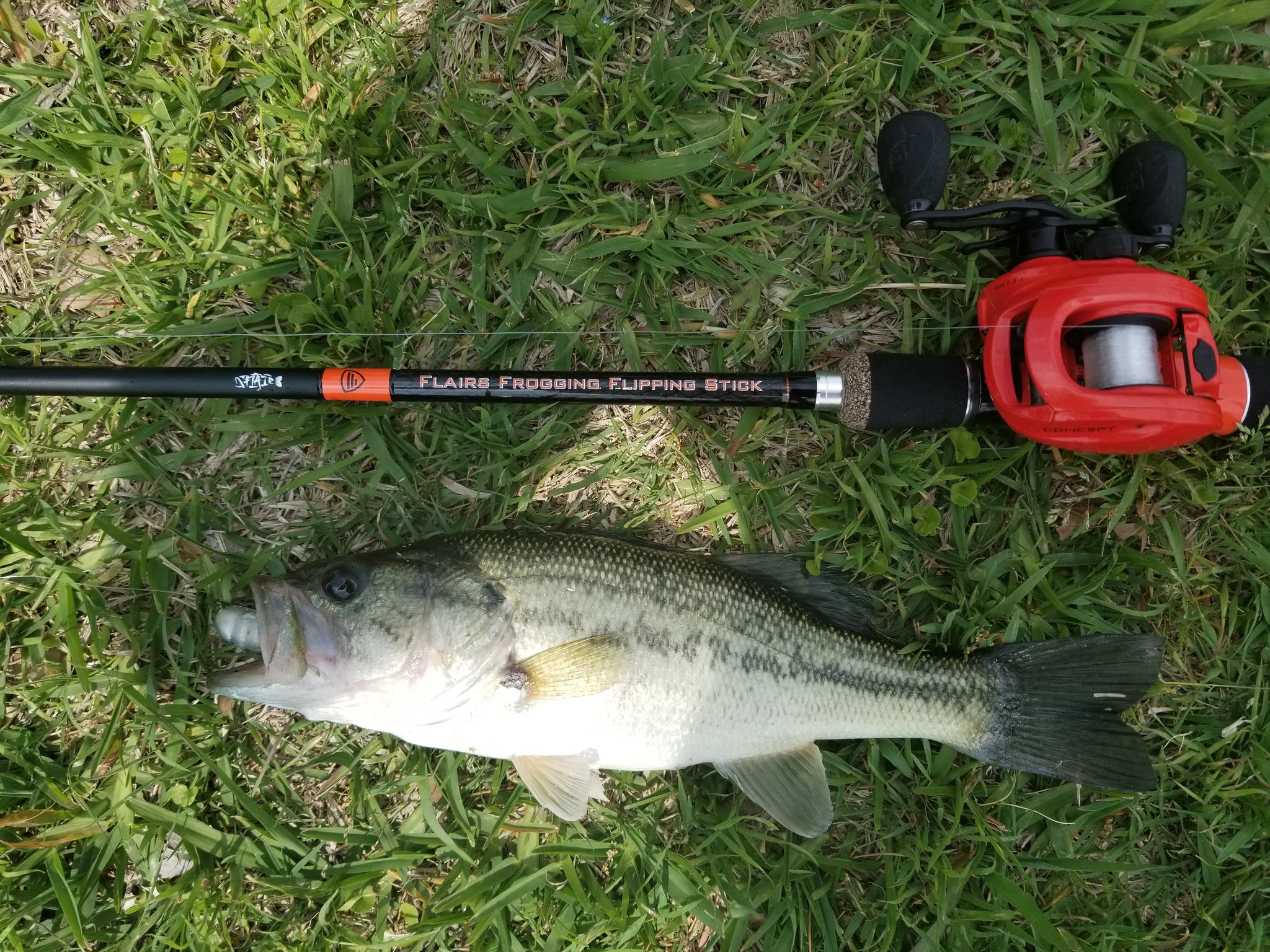 Jonathon Skinkle on X: First #bass with the #new flairs frogging