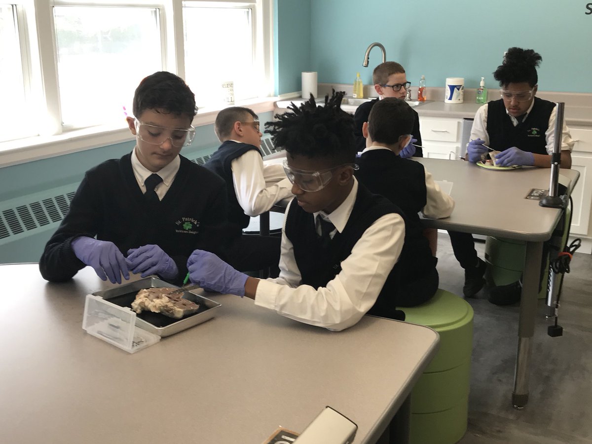 MsProctorMath's tweet image. Our sheep heart dissection in #7Science today was incredible! Students were able to identify the atria and ventricles as well as see how the valves connect the two! Many student were also able to travel through the aorta using their probes! @StPatsYorktown #CatholicEducation