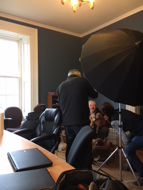 Record photographer Peter Lee at National Service Dogs in Cambridge, shooting organization's first crop of standard poodles to be trained as service dogs. Took some work to get their attention. See story Sat.