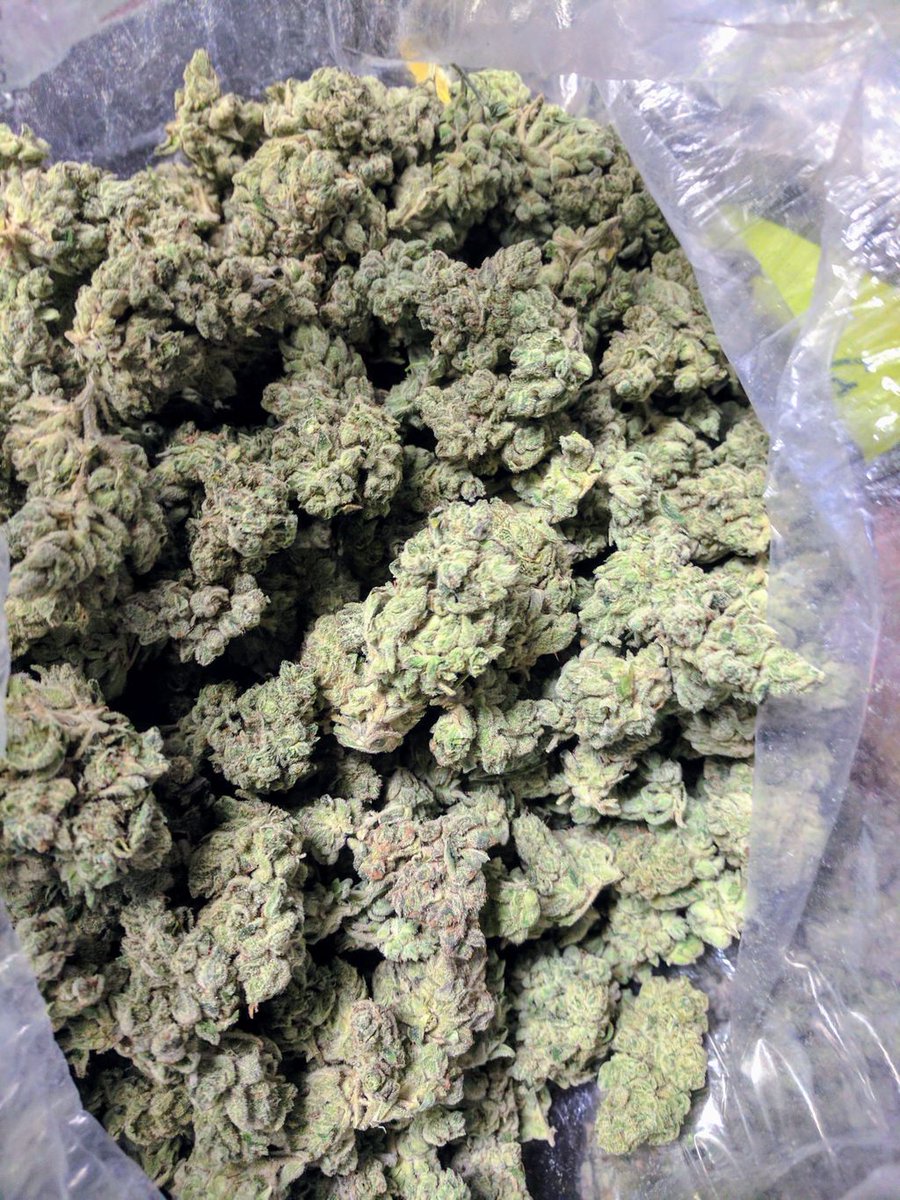 omarmangeli's tweet photo. #NP: The Reformation album;
Bishop Lamont.
#Rap #Aftermath #CarsonCity #Kush #Cannabis #Weed #Marijuana #Ganja #Spliff #MiraaTeam #GreenCrack #Meru #GainWithXtianDela #TrapaDrive #Mentality #Humanity #Basement #HipHopNation #FridayThe13th #Friday13 #nowplaying https://t.co/BzrnrGAvpu
