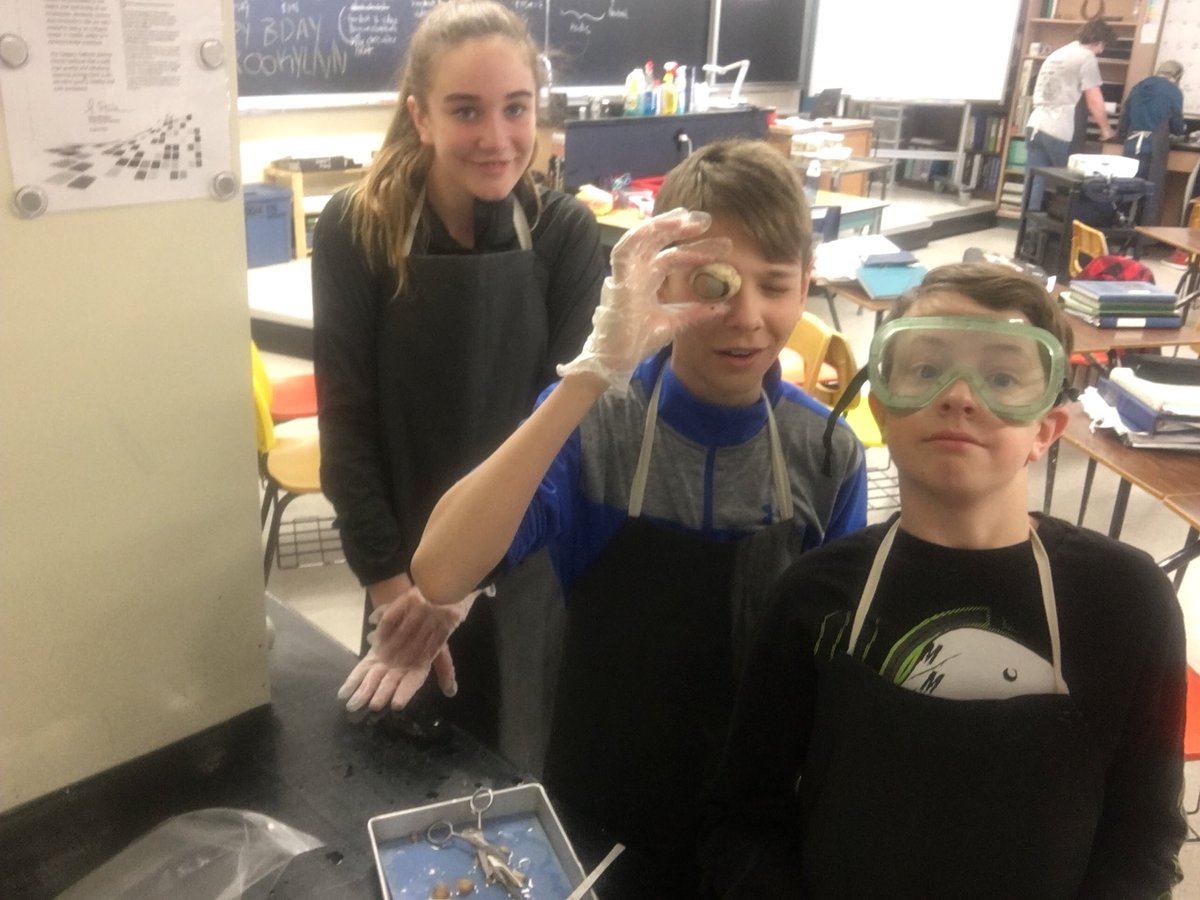 StHelena_CCSD's tweet photo. And 8D dissecting horse eyeballs today in #science 🔬 👁 #lightandoptics https://t.co/SkXrdw8UQd