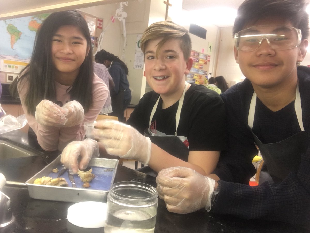 StHelena_CCSD's tweet photo. 8E dissecting horse eyeballs today in #science 🔬 👁 #lightandoptics https://t.co/ZzSOqXOv3Y