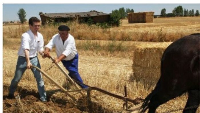 EspineteHd's tweet photo. La tesis de Casado en el master,pesa mas 1 kilo de paja que un kilo de hierro. #CDR https://t.co/5iWtUVEFF8