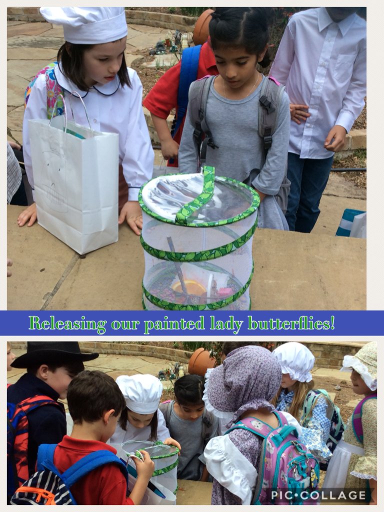 S. Scharffenberger tweet media