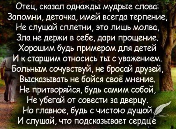 ☆ Цитаты и Юмор ☆ (@odnataka_ya) on Twitter photo 