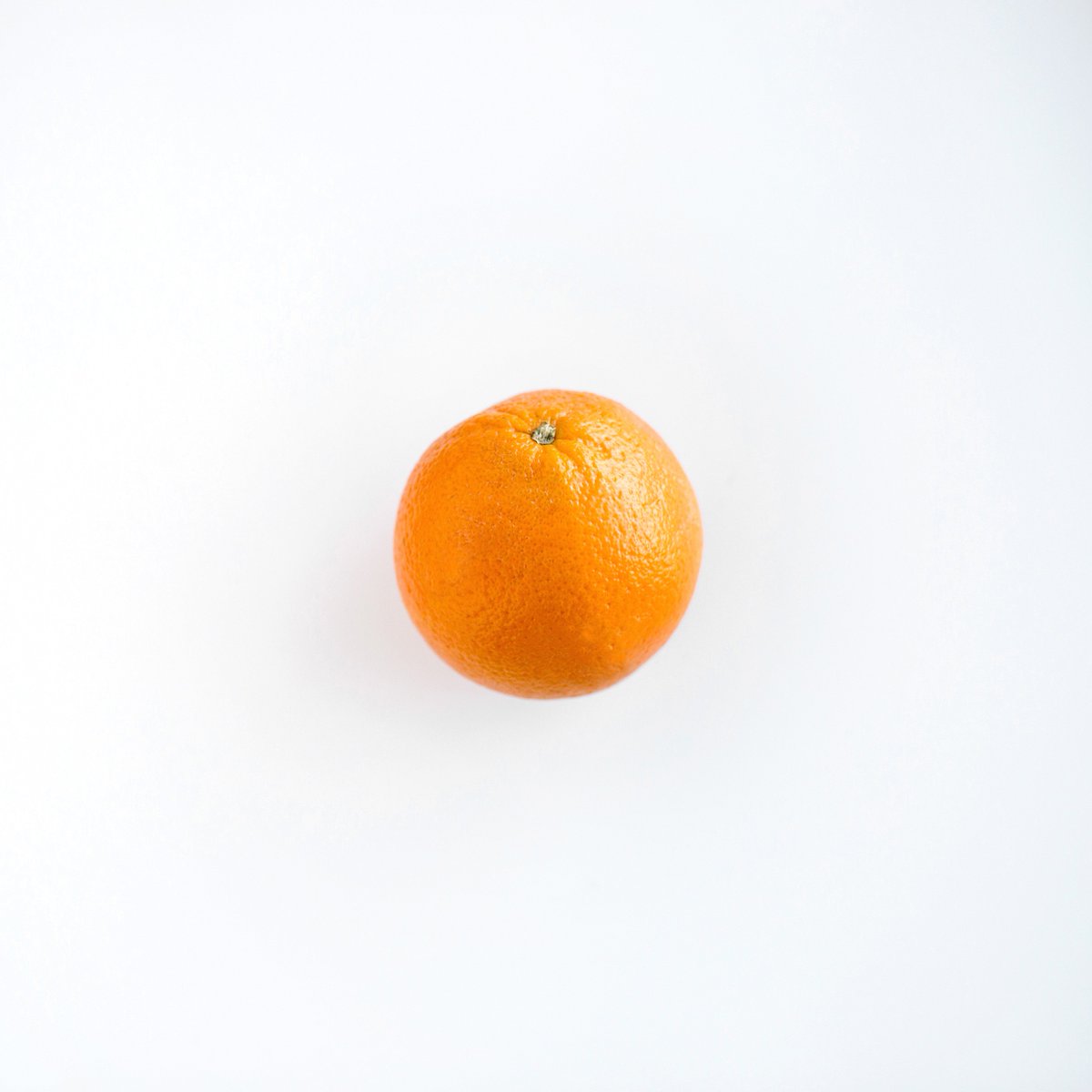 TeamOpenBook's tweet photo. We’ve been asking some deep questions about this orange. Was the fruit named after the color, or was the color named after the fruit? Can you read an orange by its peel? What’s the Pantone of this orange?

Just one of many #QuirkyObjects around the @teamopenbook office. (5/5) https://t.co/xLrKNu6srw