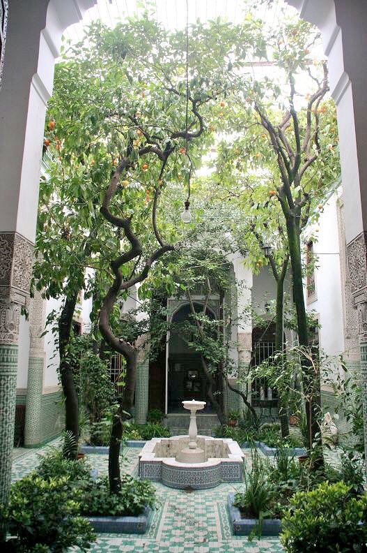 wissam_shabat's tweet photo. North African Courtyard Gardens https://t.co/SwmoghGQYW