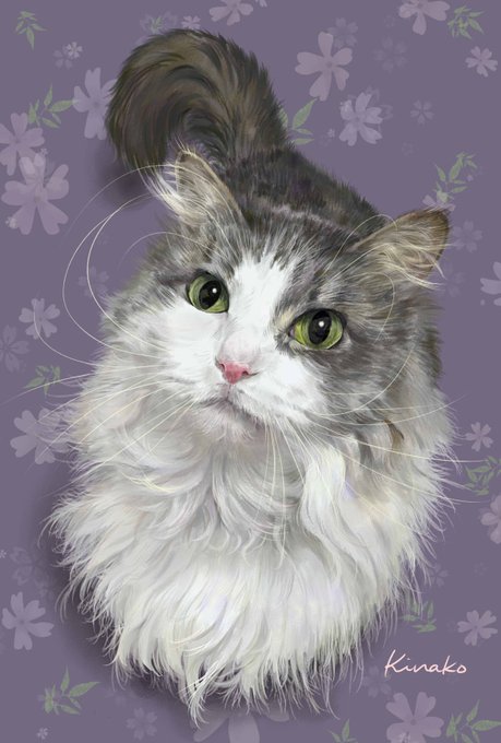 ノルウェージャンフォレストキャットのtwitterイラスト検索結果 古い順 ノルウェージャンフォレストキャットのtwitterイラスト検索結果 古い順