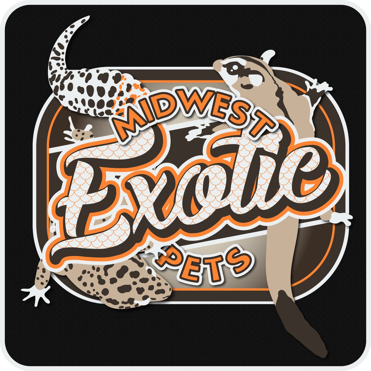 MidExoPets's tweet image. #NewProfilePic