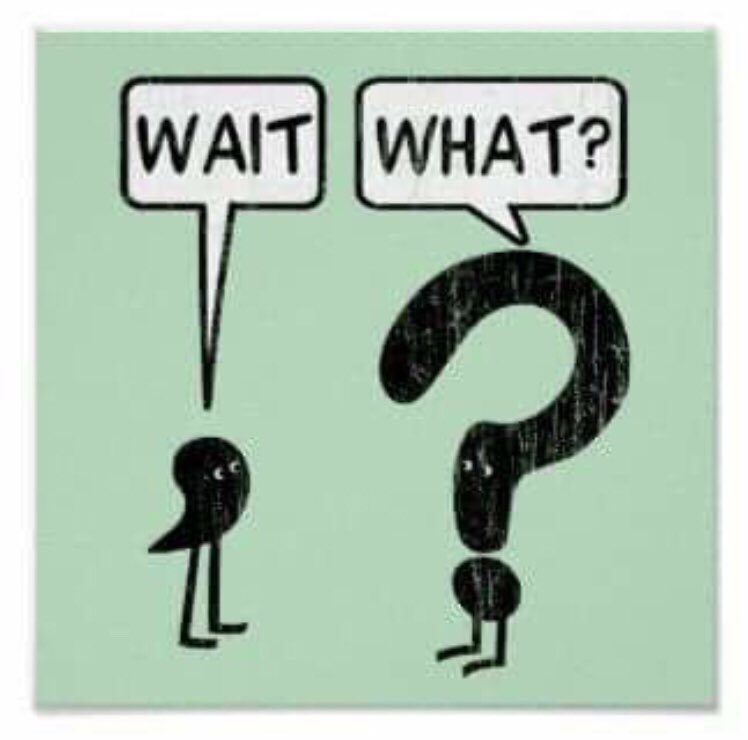 TashaTripplett's tweet image. Love this! #grammarfun