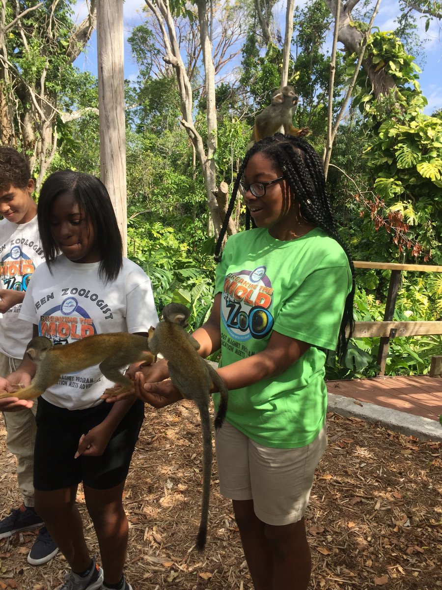 RHMSZooMagnet's tweet photo. @RHMSRaiders were engaged with squirrel monkeys @MIAMonkeyJungle
#Monkeybusiness 
@MDCPSSouth @miamimagnets @zoomiami https://t.co/H1bWKrkrZR