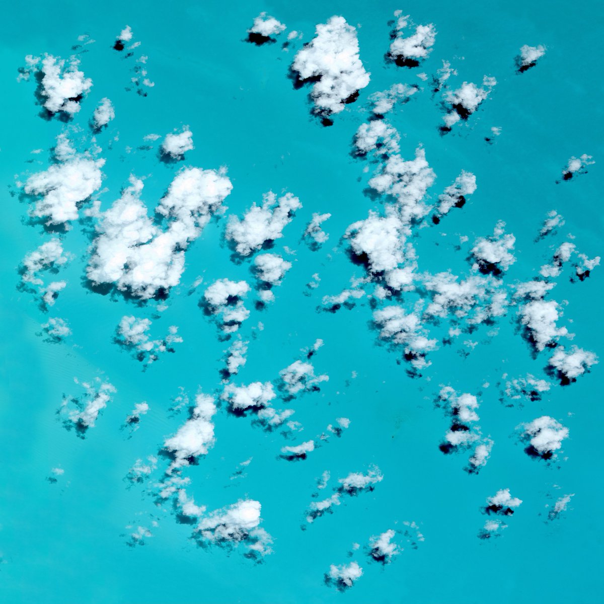 Feverbones tweet media