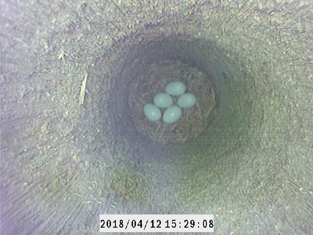 JD_science tweet picture