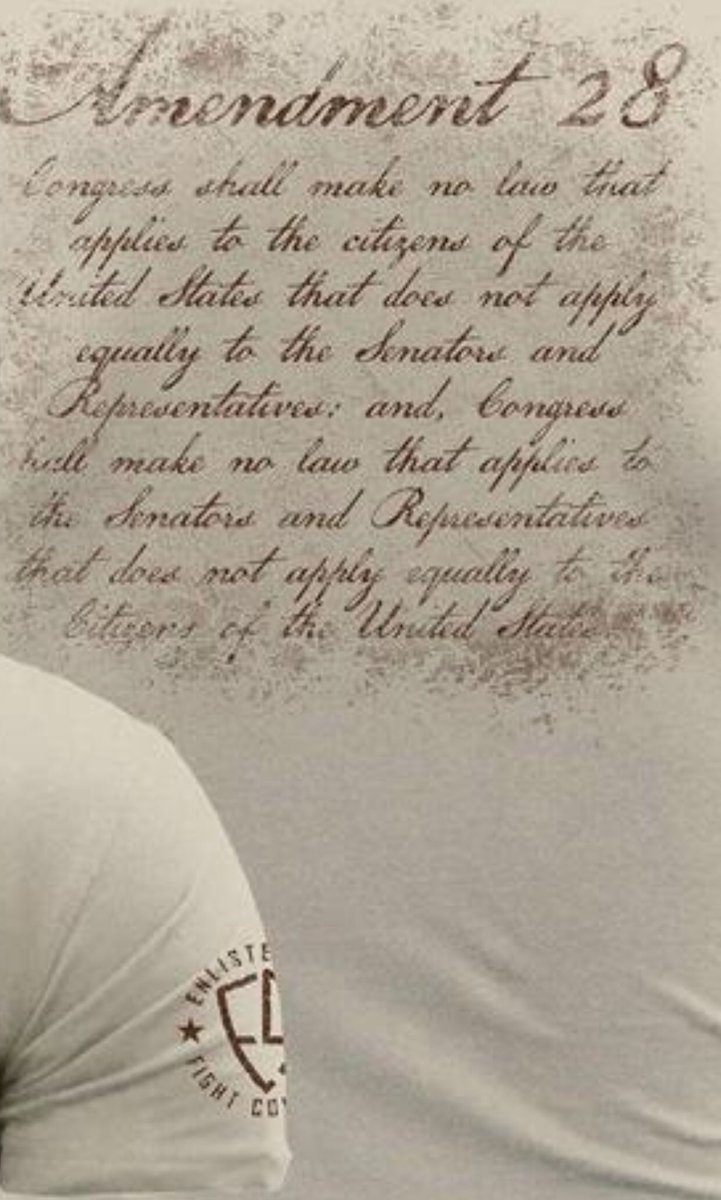 ENLISTEDNINE's tweet photo. @patmiletich @Montel_Williams this is a shirt you can get behind! #28thAmendment #ControlCongress #DrainTheSwamp https://t.co/UqBp3I30I5