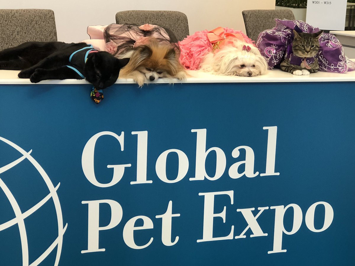 PreferPets's tweet photo. #FlashbackFriday !! Thank you again all who visited us at the Global Pet Expo 2018 🐾 #globalpetexpo
We really appreciate all the support ❤️ Now we’re prepping for... #SUPERZOO LAS VEGAS!! Hope to see many more cute and familiar faces 😸 our booth will be #3617 @superzooshow https://t.co/q3DTYz9RIV