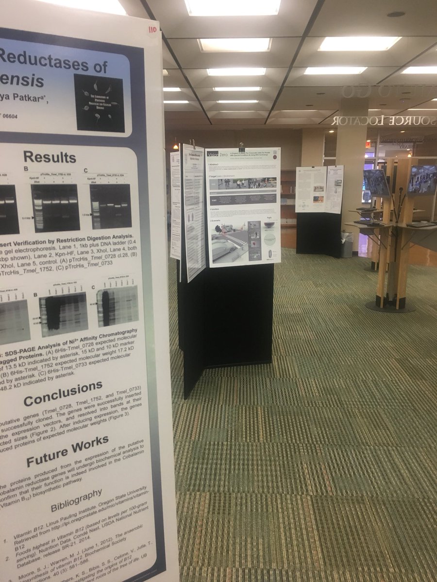 Research_UB's tweet image. Have you visited Wahlstrom Library to checkout the undergraduate research poster display yet? Only two more days to view! #URW2018