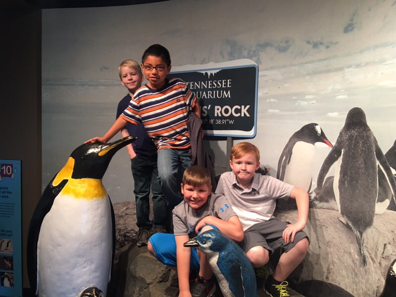 Coker Elementary tweet media