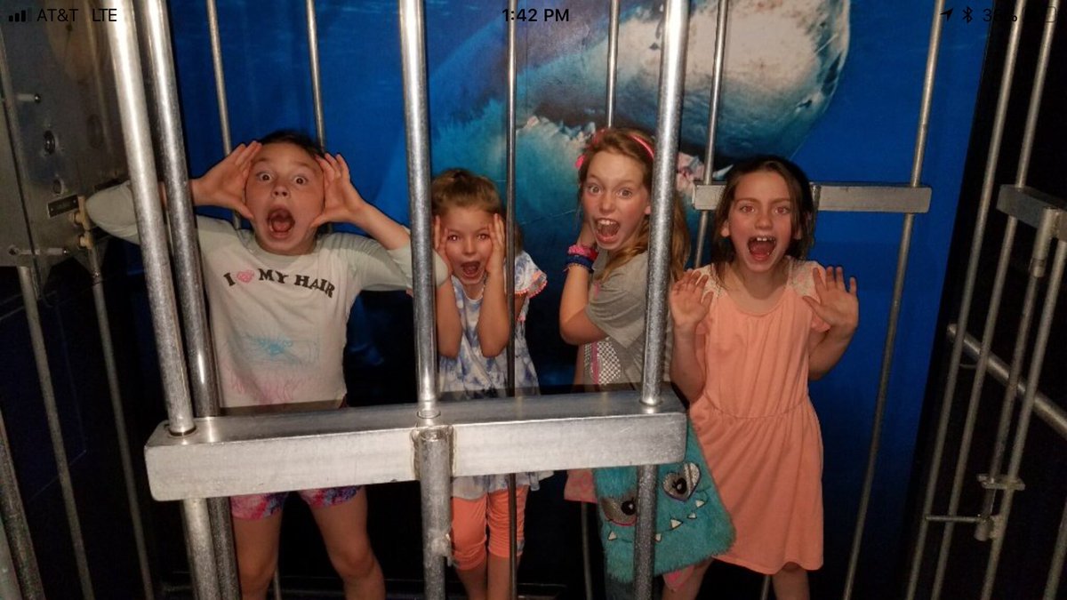 Coker Elementary tweet media