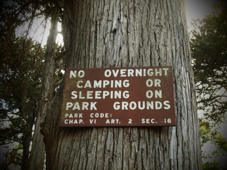 Haighteration tweet media