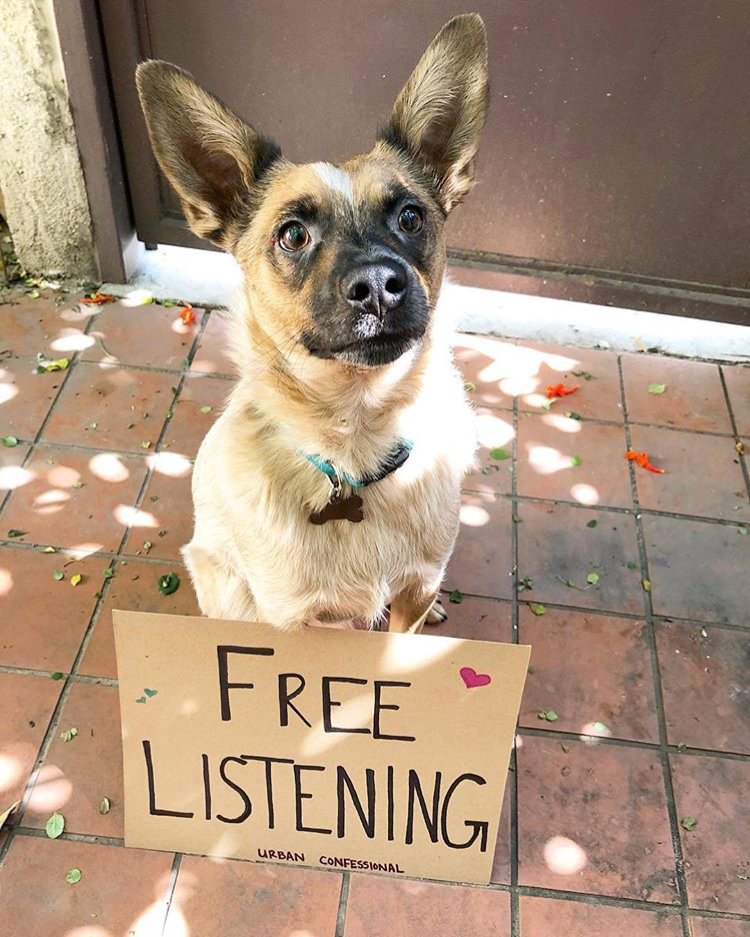 UCFreeListening's tweet photo. Dogs are the best listeners! #fld2018 https://t.co/qnIupJVOnf