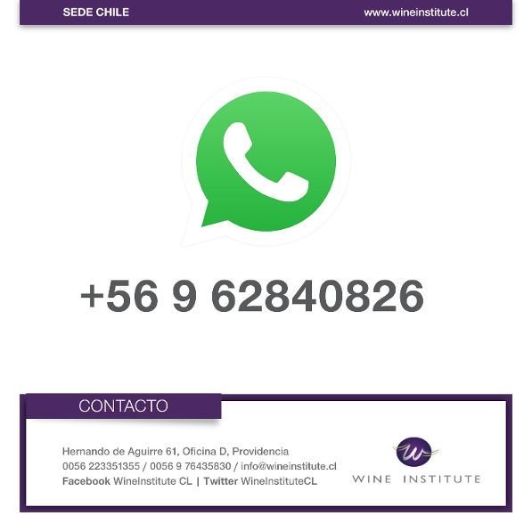 WineInstituteCL's tweet photo. ¿Tienes dudas o consultas sobre nuestras carreras y cursos? ¡Comunícate vía #WhatsApp con nosotros! https://t.co/aI1V3jjdBG