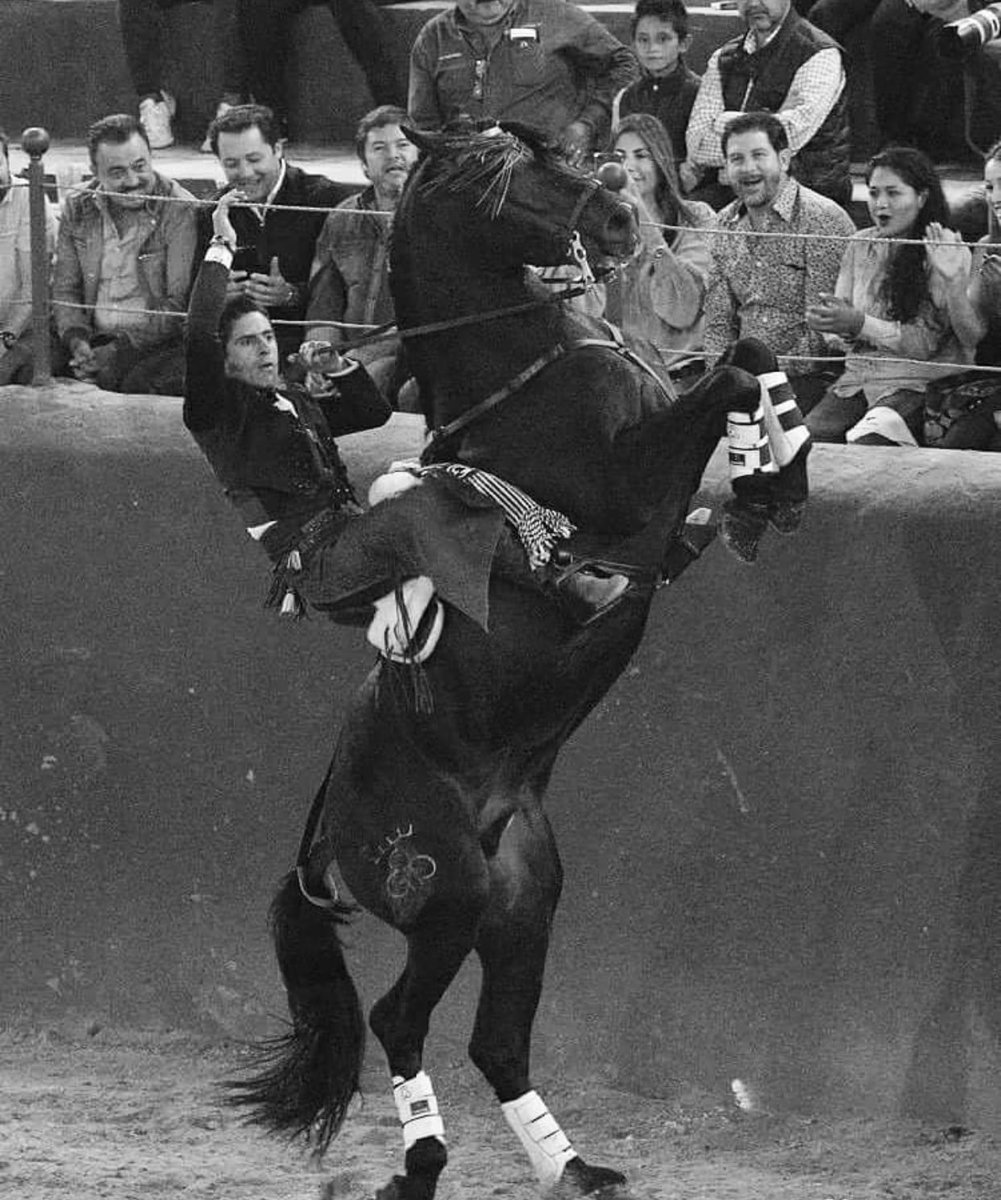 CasaToreros's tweet image. Noche de #embrujo ayer en Tlaquepaque!
El matador @corselman  bordó ayer el toreo a caballo.
🚩Vuelve el toro a Tlaquepaque.