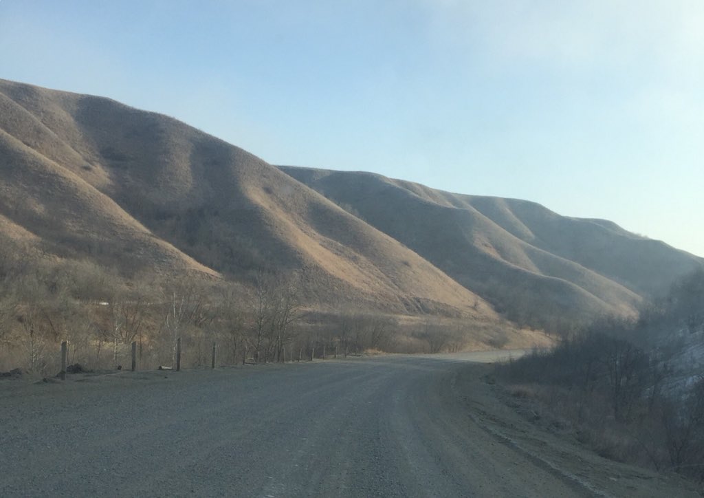 sandypinay's tweet image. These beautiful hills in Cowessess remind me of my “Grandma Crowe’s hills” in Piapot First Nation; she was a resilient &amp;amp; resourceful  little lady. #Grandmashills #lovelylady #Piapot #generosity