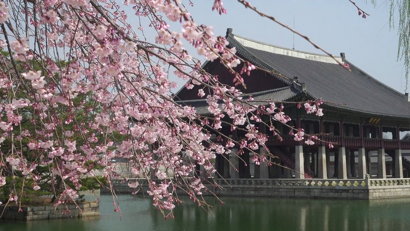 wanderlust_tips's tweet photo. 🌸🌸🌸7 ĐỊA ĐIỂM NGẮM HOA ANH ĐÀO ĐẸP NHƯ MƠ Ở HÀN QUỐC

➡️Xem chi tiết tại: https://t.co/Xmc1FSIbJ5

#hanquoc #seoul #hoaanhdao #wanderlusttips https://t.co/OF5kO1WE52