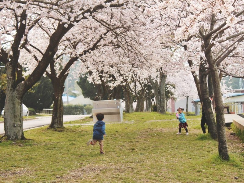 wanderlust_tips's tweet photo. 🌸🌸🌸7 ĐỊA ĐIỂM NGẮM HOA ANH ĐÀO ĐẸP NHƯ MƠ Ở HÀN QUỐC

➡️Xem chi tiết tại: https://t.co/Xmc1FSIbJ5

#hanquoc #seoul #hoaanhdao #wanderlusttips https://t.co/OF5kO1WE52
