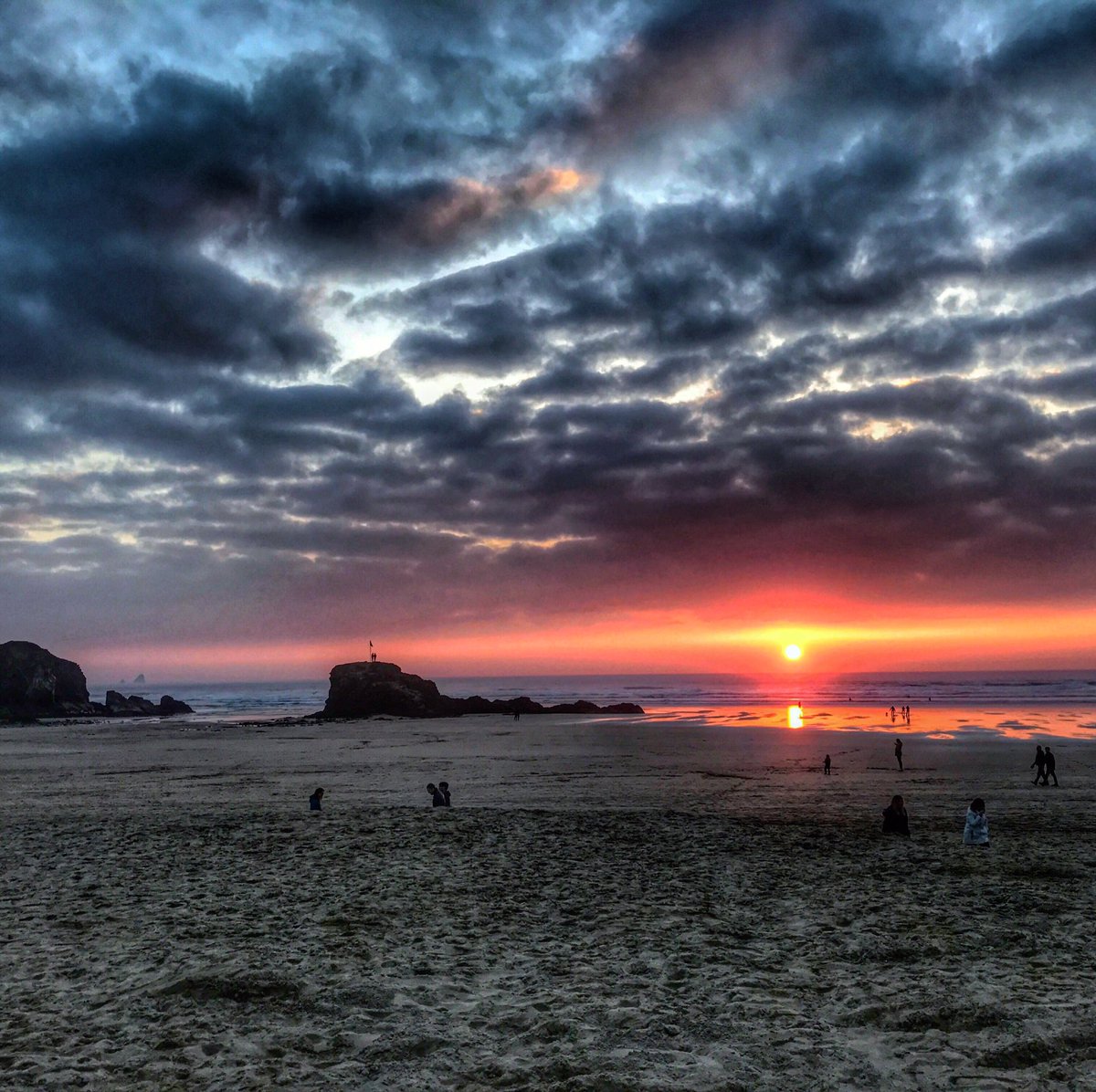 W_hole_Cornwall's tweet image. Woah