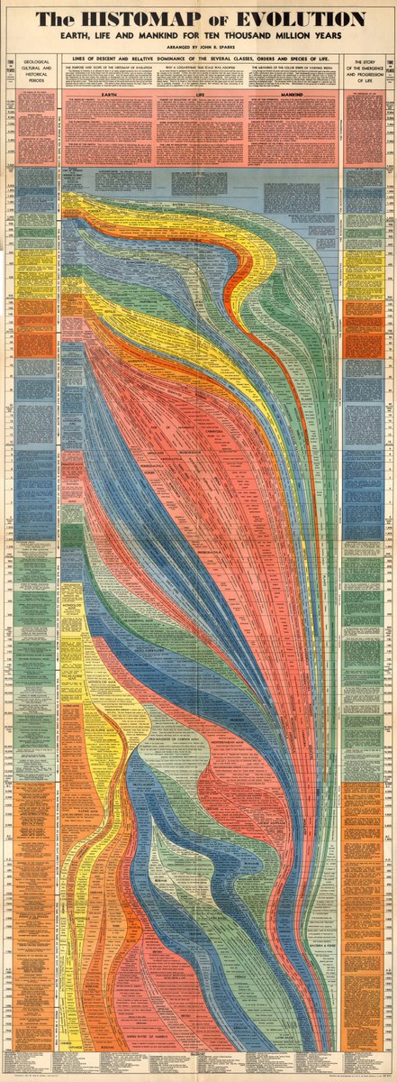 John B. Sparks made some classic charts, including this colorful 1942 "histomap" showing the #evolution of most life forms on Earth from 10 billion years ago. Source: bit.ly/2EJsTJi