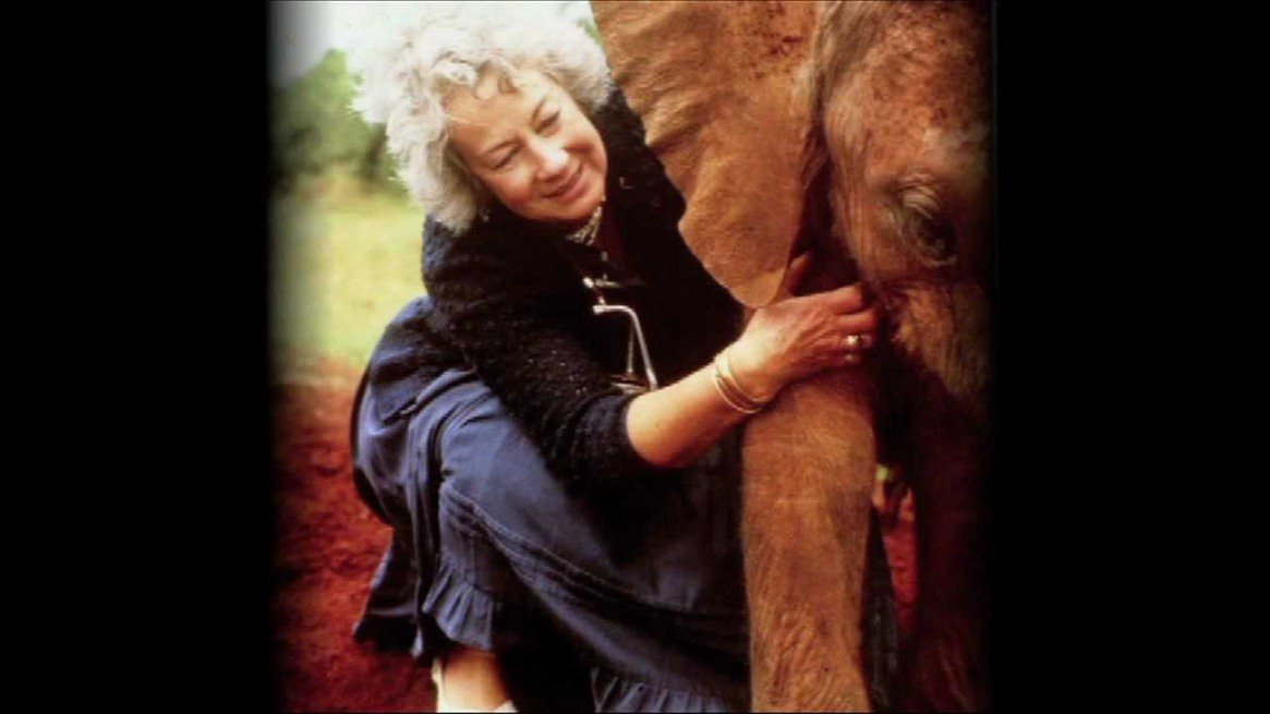 Remember'g..DaphneSheldrick..Pioneer..Saved100s..Eleph's+Changed Conserva'n4ever
..farewell2..DameDaphneSheldrick..conserva'n icon+pioneer4African wildlife, whose impact lives on through..charity she founded-DavidSheldrickWildlifeTrust+..orphan eleph's she.onegreenplanet.org/animalsandnatu…