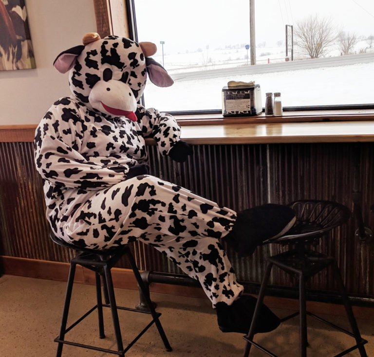 KalonaCreamery's tweet photo. Lona the Cow, our company mascot, is thrilled to be able to call Kalona Creamery her home and can’t wait for you to visit and try our new house-made ice cream! Check out this link to hear her story: https://t.co/I6ogvuG6Vc https://t.co/sBJGnFpbKT