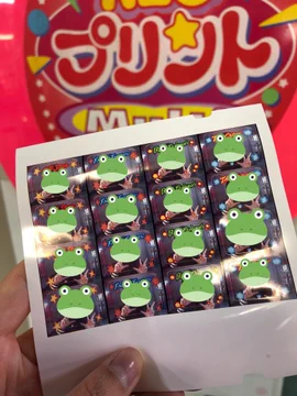 画像 / Picture