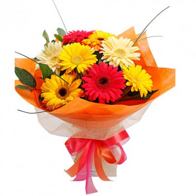 gurgaongifting's tweet photo. Beautiful Mixed Gerbera #Bouquet with Tissue Wrapping (in big cities). Cellophane wrapping will be done in smaller towns #gurgaonflorist #gurgaongifting #Flowers #GiftForGurgaon 
https://t.co/QpDY1jyMcJ https://t.co/lfg6SDmkDl