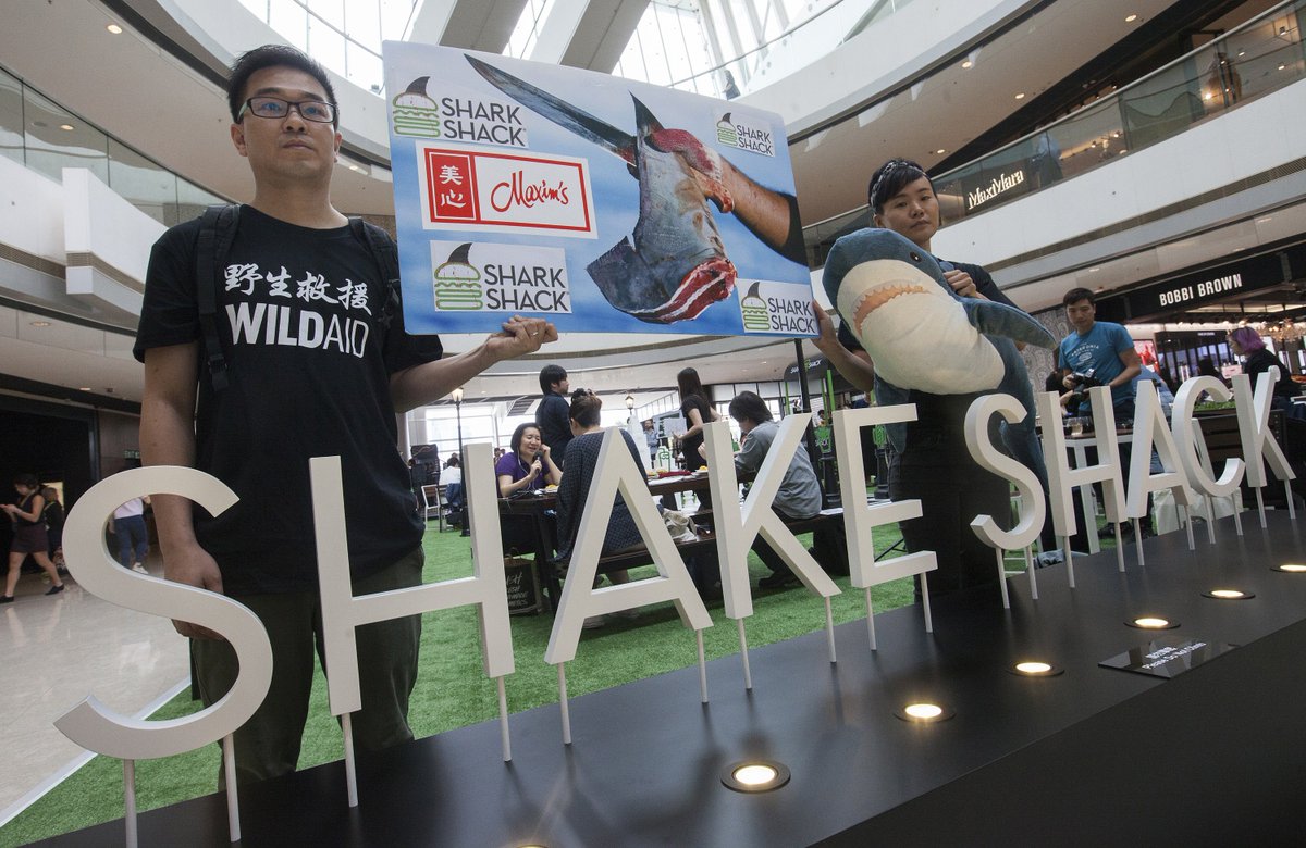 WildAidHK's tweet photo. We crashed @shakeshack's soft opening in Hong Kong today. We're calling on them to Stand For Something Good® by ditching their #shark killer partner Maxim's. Here's our ignored letter to them:
https://t.co/nwjSq1dx7j
#SharkShack
#StandForSomethingBad
#CSRFail
#PRFail https://t.co/kROOJblTb1