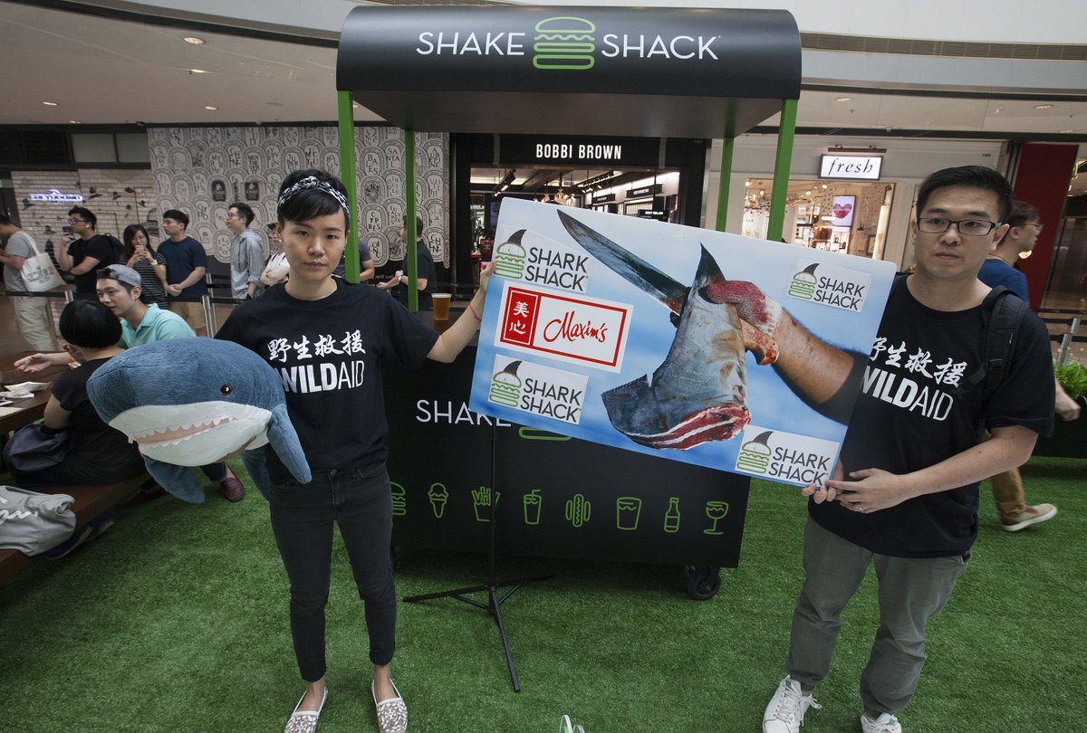WildAidHK's tweet photo. We crashed @shakeshack's soft opening in Hong Kong today. We're calling on them to Stand For Something Good® by ditching their #shark killer partner Maxim's. Here's our ignored letter to them:
https://t.co/nwjSq1dx7j
#SharkShack
#StandForSomethingBad
#CSRFail
#PRFail https://t.co/kROOJblTb1