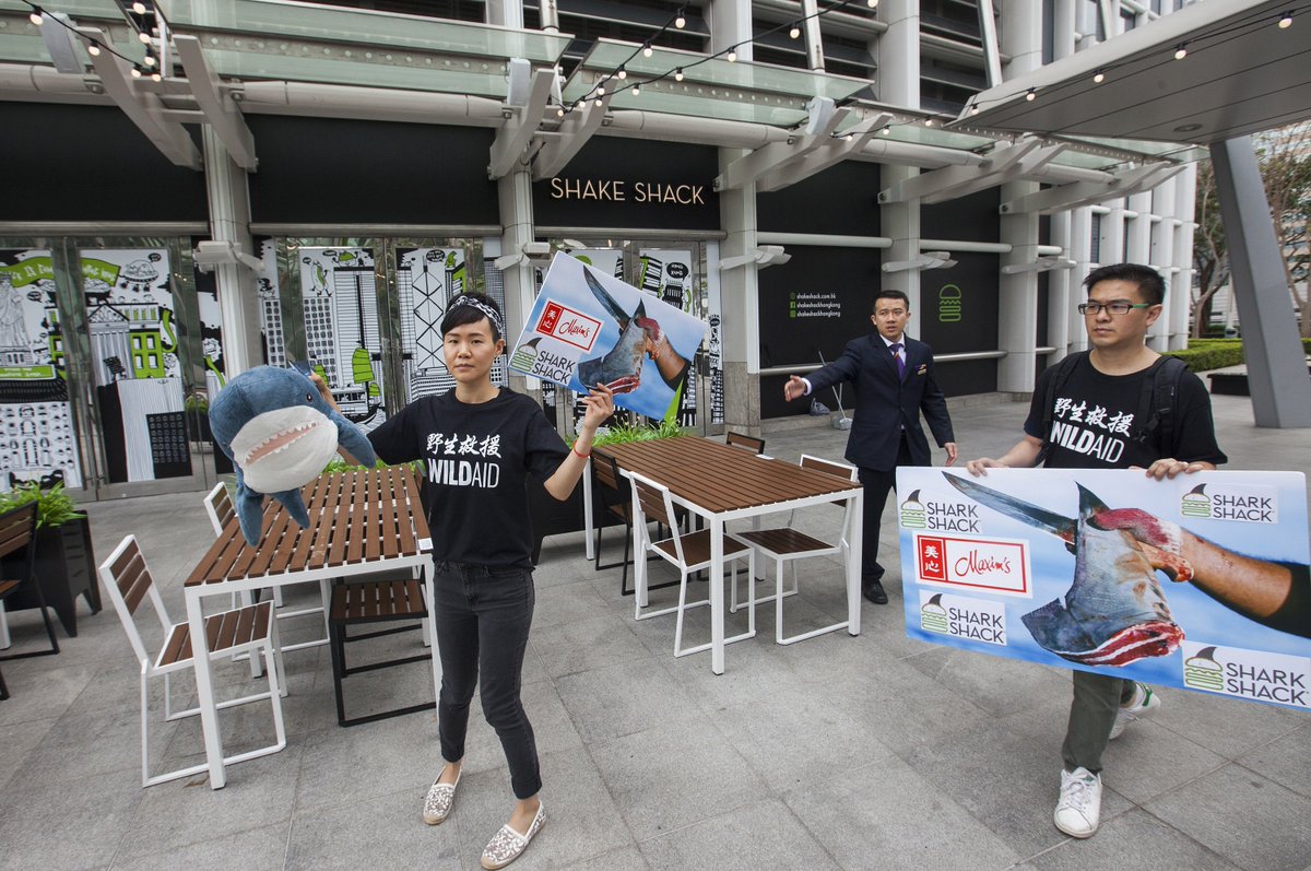 WildAidHK's tweet photo. We crashed @shakeshack's soft opening in Hong Kong today. We're calling on them to Stand For Something Good® by ditching their #shark killer partner Maxim's. Here's our ignored letter to them:
https://t.co/nwjSq1dx7j
#SharkShack
#StandForSomethingBad
#CSRFail
#PRFail https://t.co/kROOJblTb1