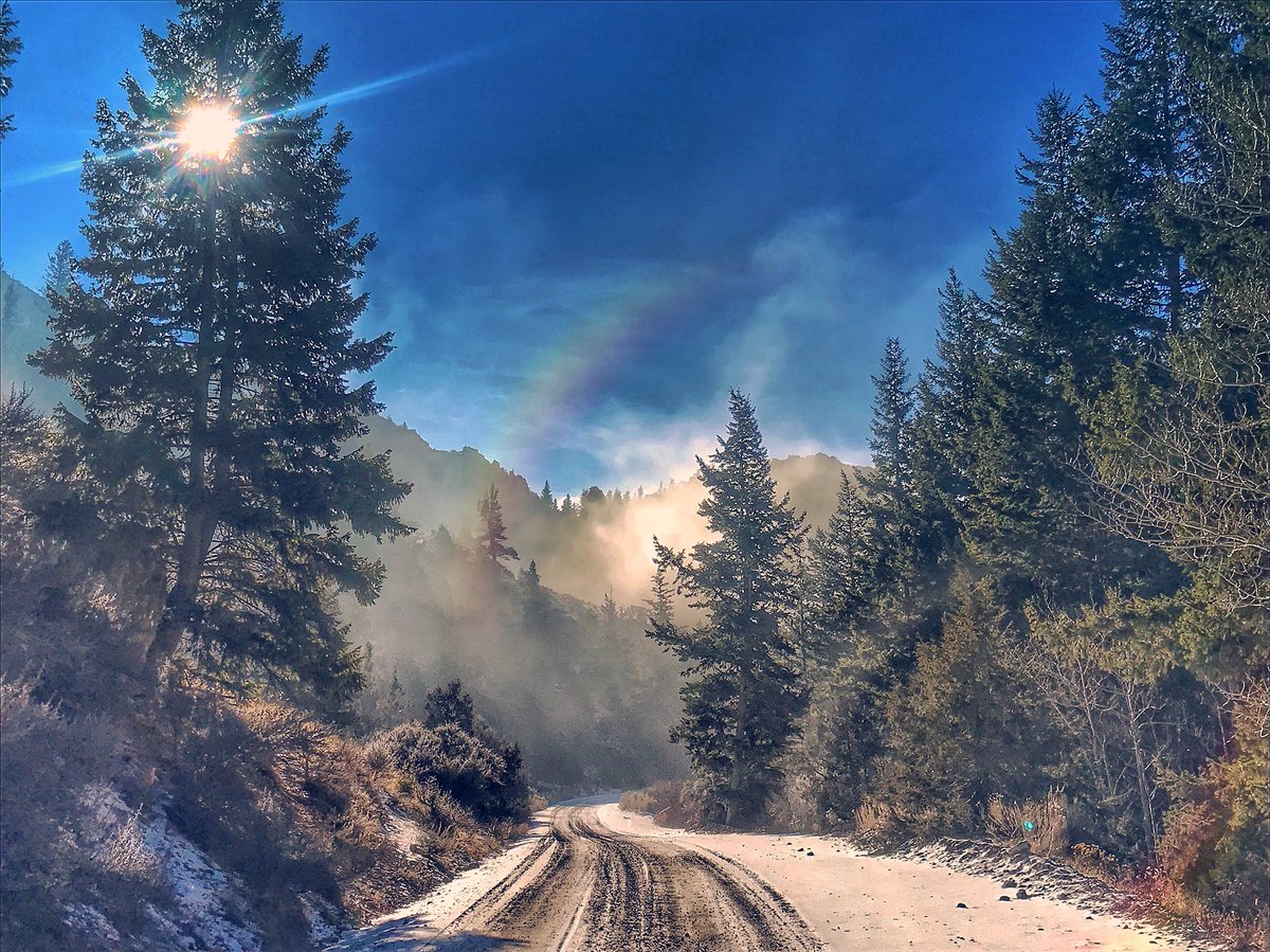 exploring_wild's tweet photo. There’s a magic in the #mountains that is simply irrefutable. #rockymountains #gooutdoors #wild #wilderness #exploringwild #hiking #idaho #iphone7 https://t.co/6HJkIi4Svw