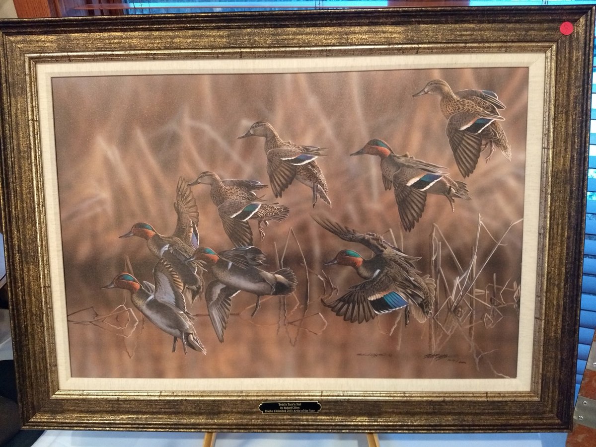 RiverFalls_DU's tweet photo. Gearing up for a great night @KilkarneyHills for our Banquet tomorrow night! Scouting is important, so here's a sneak peak at some of the items. #ducks #conservation  #Wetlands https://t.co/oOE9YNBMJq