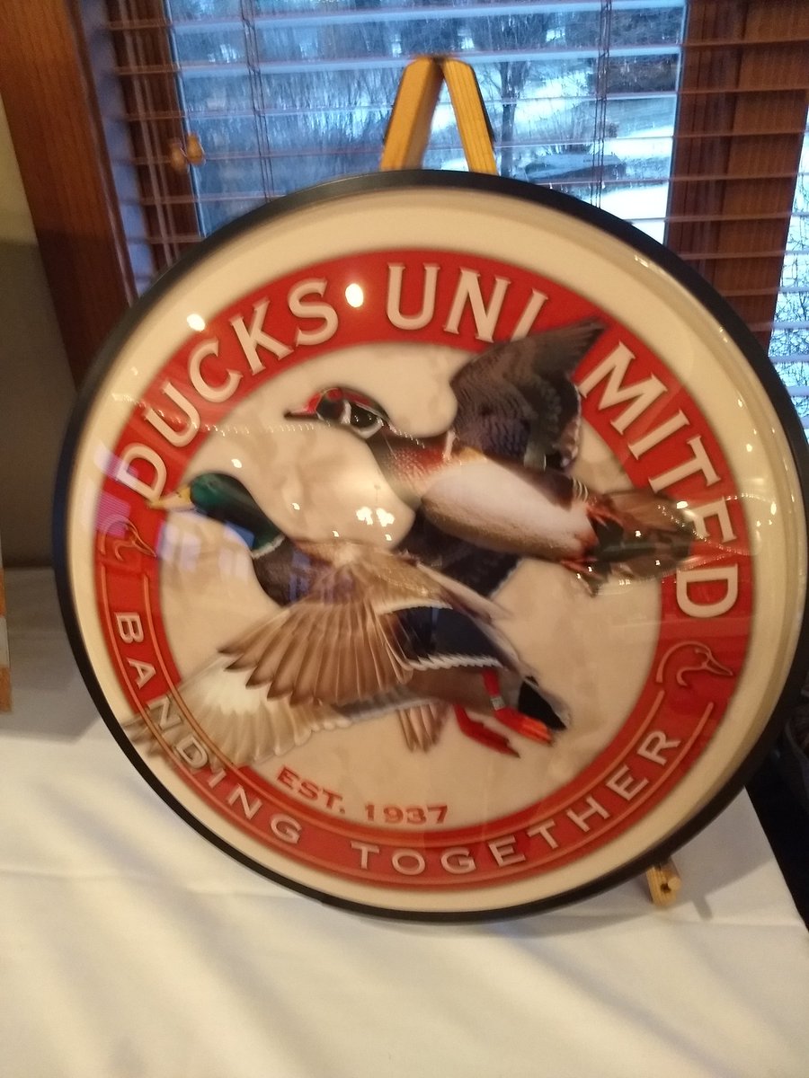 RiverFalls_DU's tweet photo. Gearing up for a great night @KilkarneyHills for our Banquet tomorrow night! Scouting is important, so here's a sneak peak at some of the items. #ducks #conservation  #Wetlands https://t.co/oOE9YNBMJq