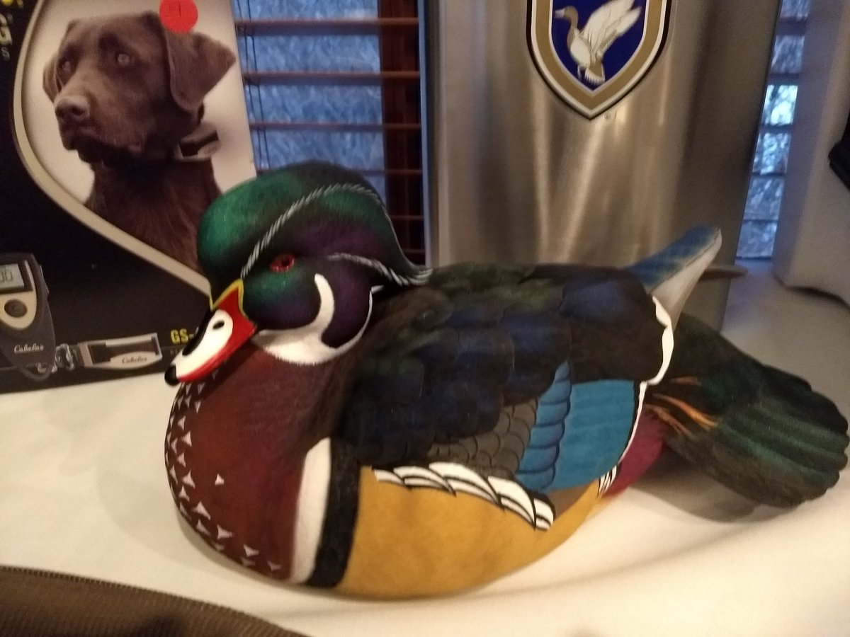 RiverFalls_DU's tweet photo. The weather might be sketchy, but conservation is hot! Gearing up for our @DucksUnlimited Banquet in River Falls @KilkarneyHills tomorrow night! #Ducks #conservation #Wetlands https://t.co/9bK11HJLQI