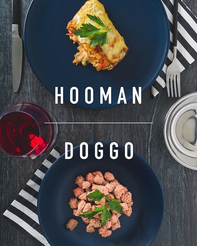 hustleworkshop's tweet photo. Brunch, the way it should be. ⠀
.⠀
.⠀
⠀
#hustle #hustleworkshop #creativeagency #melbournecreativeagency #creativeagencymelbourne #creativedirector #artdirector #photography #production #creative #studio #melbournestudio #dogs #doggo ⠀
#contentcr… https://t.co/94CXj4t5Vj https://t.co/YmeehKO8B8