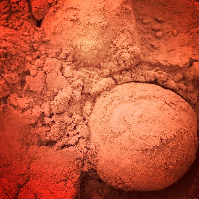 TrevaniTruffles's tweet photo. PSA - Trevani Truffles will not be at the markets this weekend 4.14/4.15 as the ladies are out of town. Chocolates will be back next weekend at both University District and Ballard Markets. Until then...! ❤️🍫 #chocolate #farmersmarket #familyowned #shoplocal https://t.co/7S5q5GqtEw