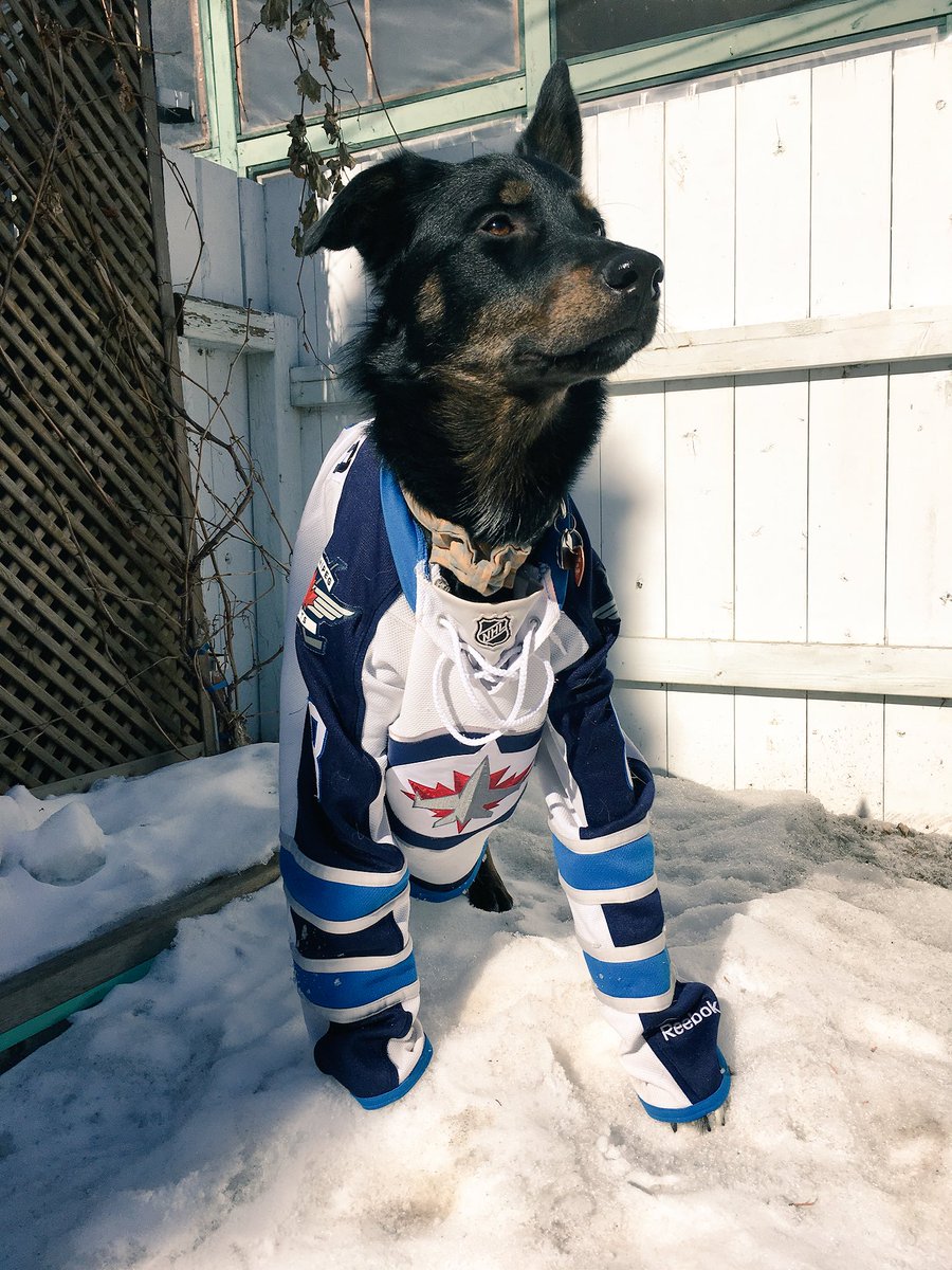 Catherine1719's tweet photo. Round ☝️ game two. GoJets Go ✈️✈️ #WPGWhiteout #winnipegjets #gojetsgo @ctvwinnipeg https://t.co/xFaC2koiMH