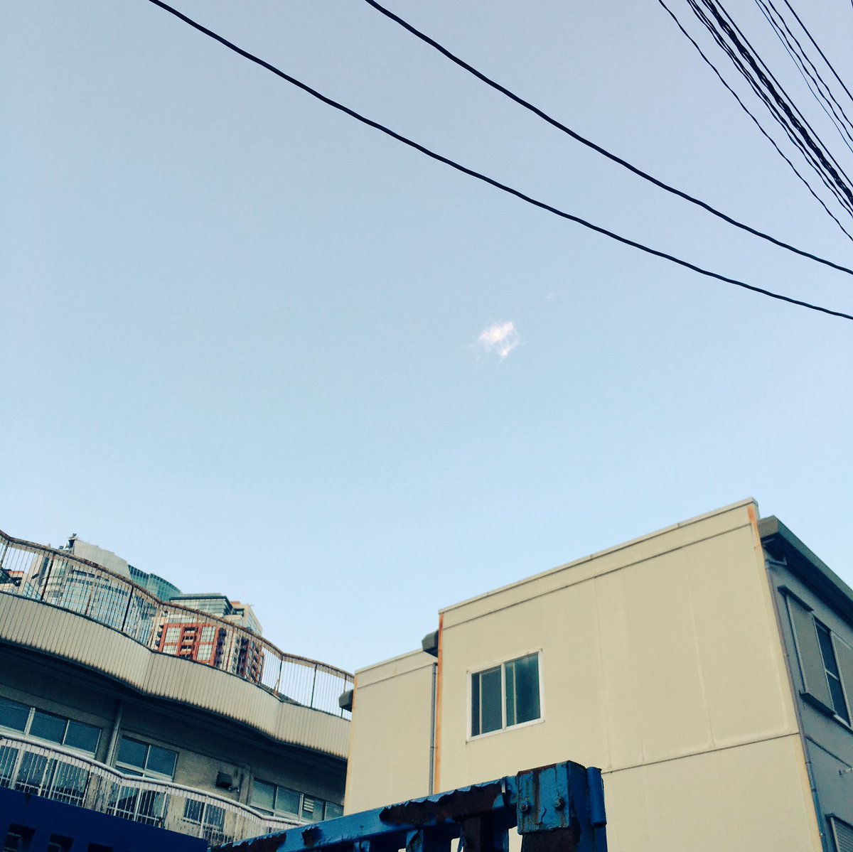 ikihsot_toshiki's tweet photo. 白黒はっきりさせる事が正しい事なのか、なんてみんな考えてるしみんな分からない事を一生懸命考えて日々魂を込めてみんなで作ってます。僕たちにだけ作れるものを。
宜しくお願いします。

TOKYO笹塚ボーイズ
『花瓶の中の海』
2018年5月16日〜20日
@BuoY(@buoy_info) https://t.co/tmvmhhjzIu