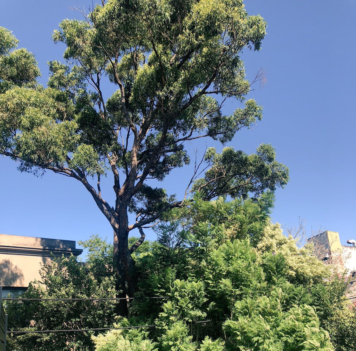 It's a beautiful day, who wants to come and play?#SydneyExoticMILF #CuteAss #Sydney #AvailableNow #sydneyescorts #efpos #bitcoin #LongLegsThatMakeAnAssOfThemselves #SmackItOrKissIt
